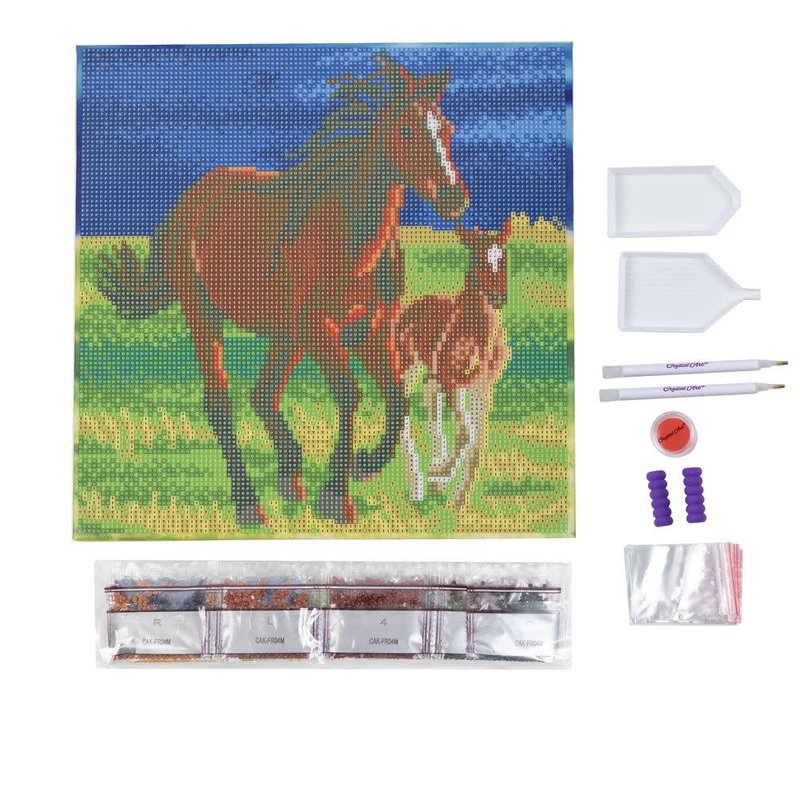 OZ CRYSTAL ART Kit tableau broderie diamant 30x30cm Premiers Galops