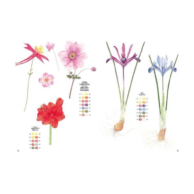 CARTOTHEQUE Fleurs À L'Aquarelle 15 Esquisses Prêtes À Peindre