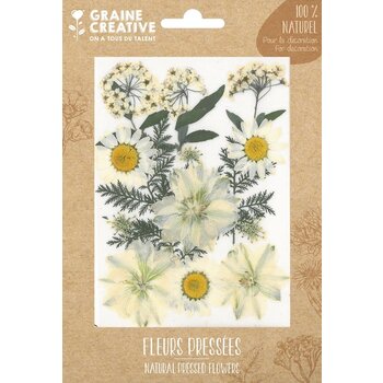 GRAINE CREATIVE Fleurs pressées prairie Blanc - 15 pces