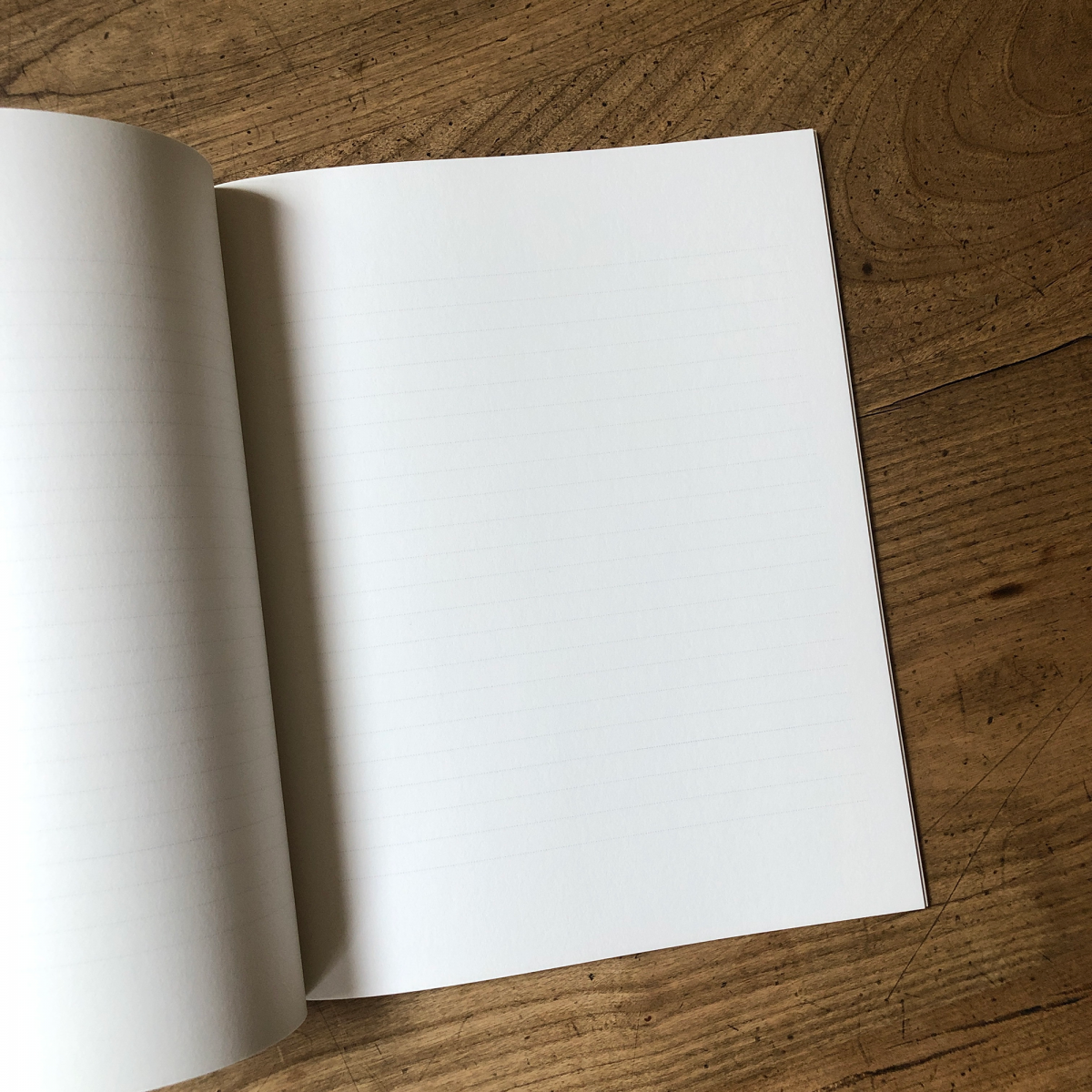 GALLIMARD Cahier - Un brillant avenir