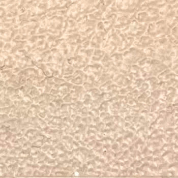 PEBEO Setacolor Cuir 45Ml - Beige Rose