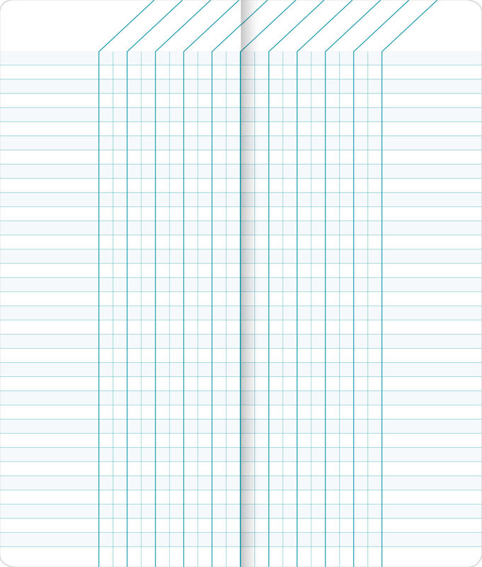 CLAIREFONTAINE Carnet De Bord Broché 8.5X20Cm 120P