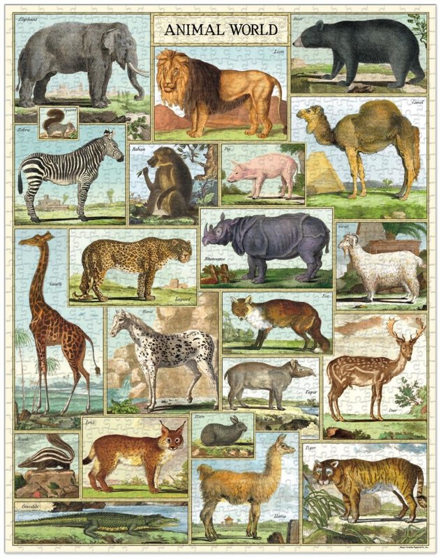 CAVALLINI & Co. Puzzle 1000 Pièces Animaux 50 X 70 Cm