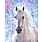 FIGURED'ART Peinture par numéros Cheval et fleurs blanches taille 40x50cm toile tendue sur chassis