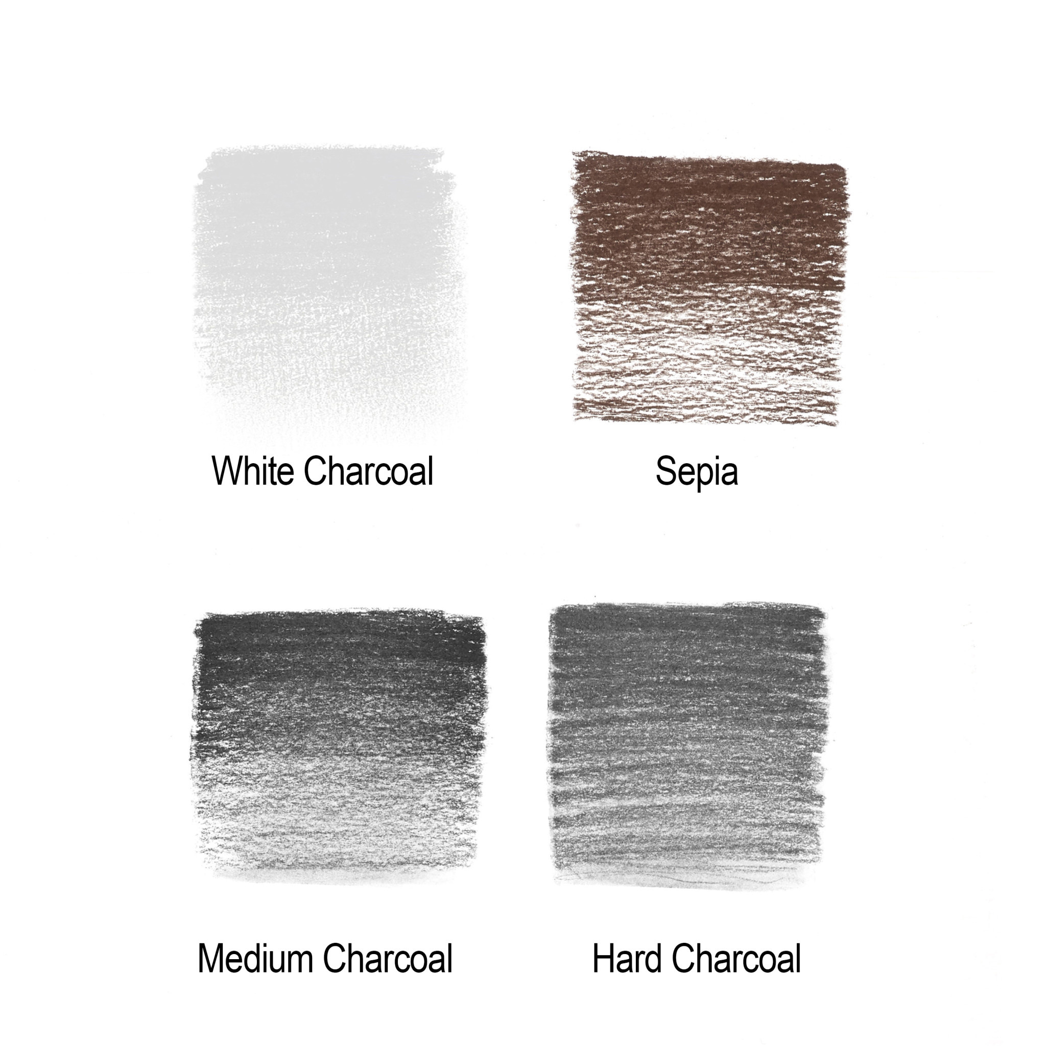 WINSOR & NEWTON Studio Collection Crayons Esquisse X4 + Gomme