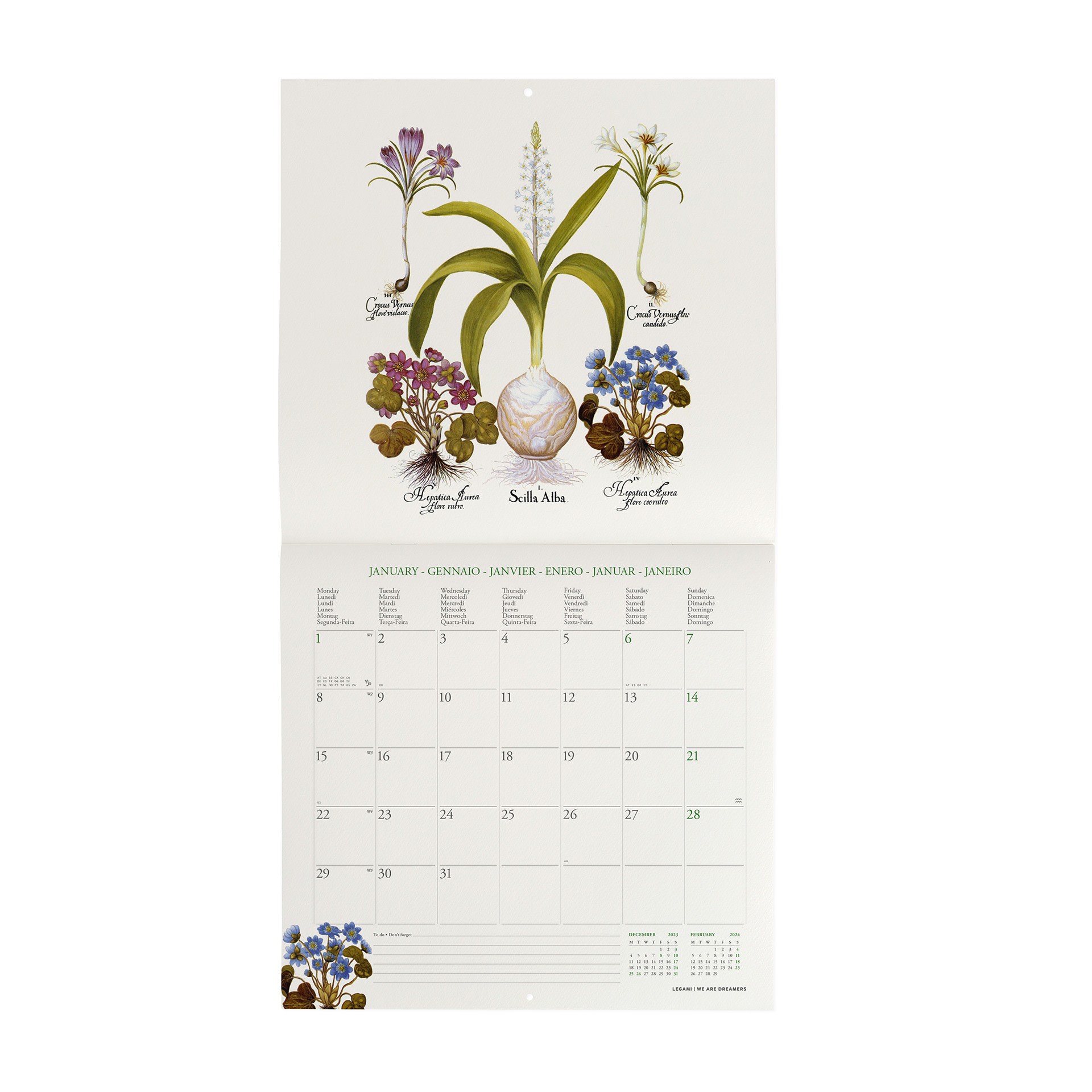 Calendriers Muraux - 2024- Herbarium-30X29 - Nature - Papeterie Michel