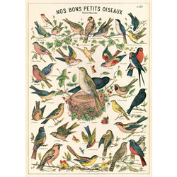 CAVALLINI PAPERS Affiche 50 X 70 Cm Oiseaux