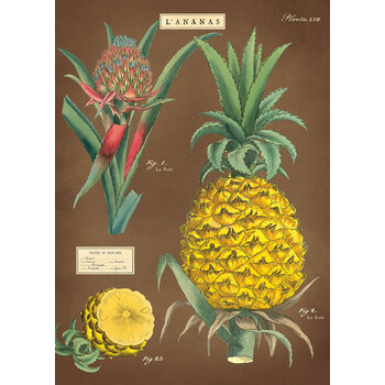 CAVALLINI & Co. Poster - Affiche Cavallini Ananas 50x70cm