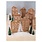 RAYHER Kit Calend.de l'Avent Maisons de sachets, 24 scts.,marq. acryl.,ficelle boulanger
