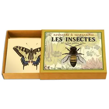 MARC VIDAL J'apprends à recon. les Insectes...