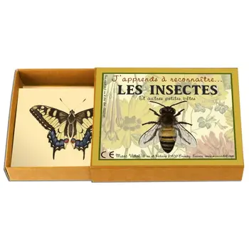 MARC VIDAL J'apprends à reconnaitre les Insectes