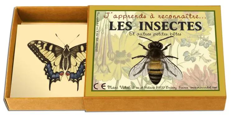 MARC VIDAL J'apprends à reconnaitre les Insectes