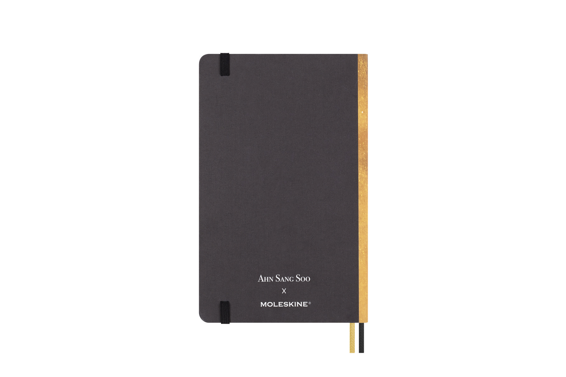 MOLESKINE Carnet Année du dragon Grand Format Ligné - Ahn Sang Soo