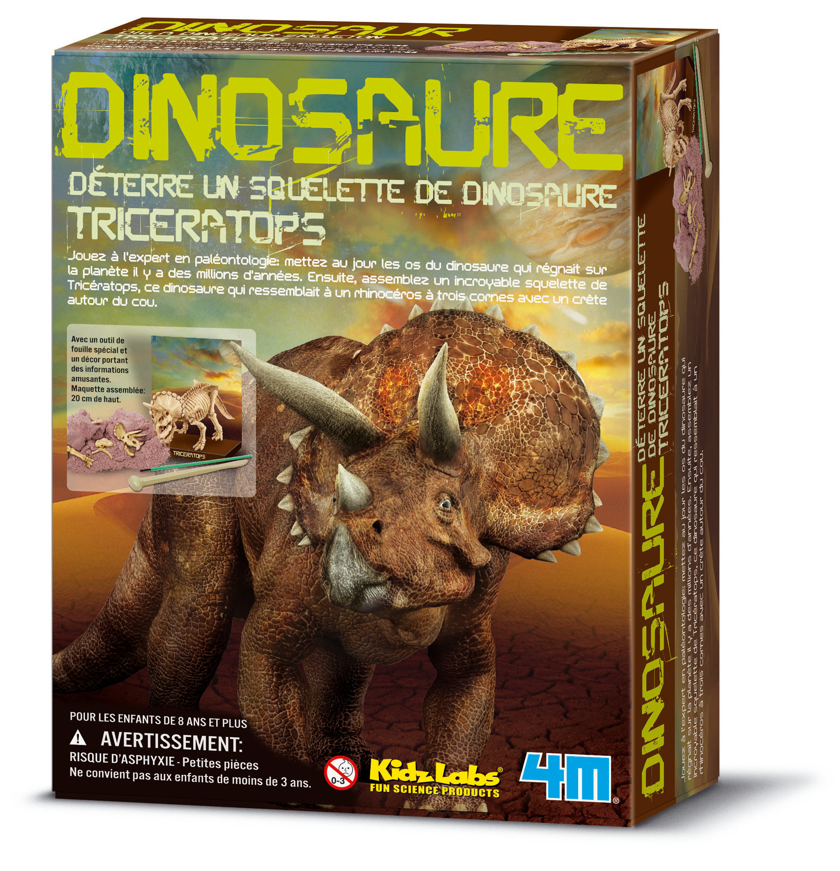 GRAINE CREATIVE Kit Dam Triceratops 170X220X60
