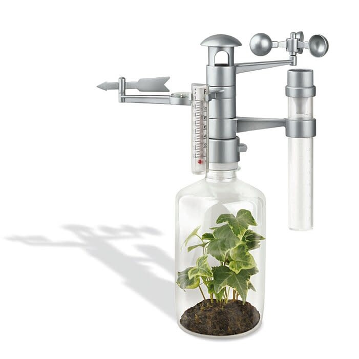 GRAINE CREATIVE Kit Dam Station Météo 220X170