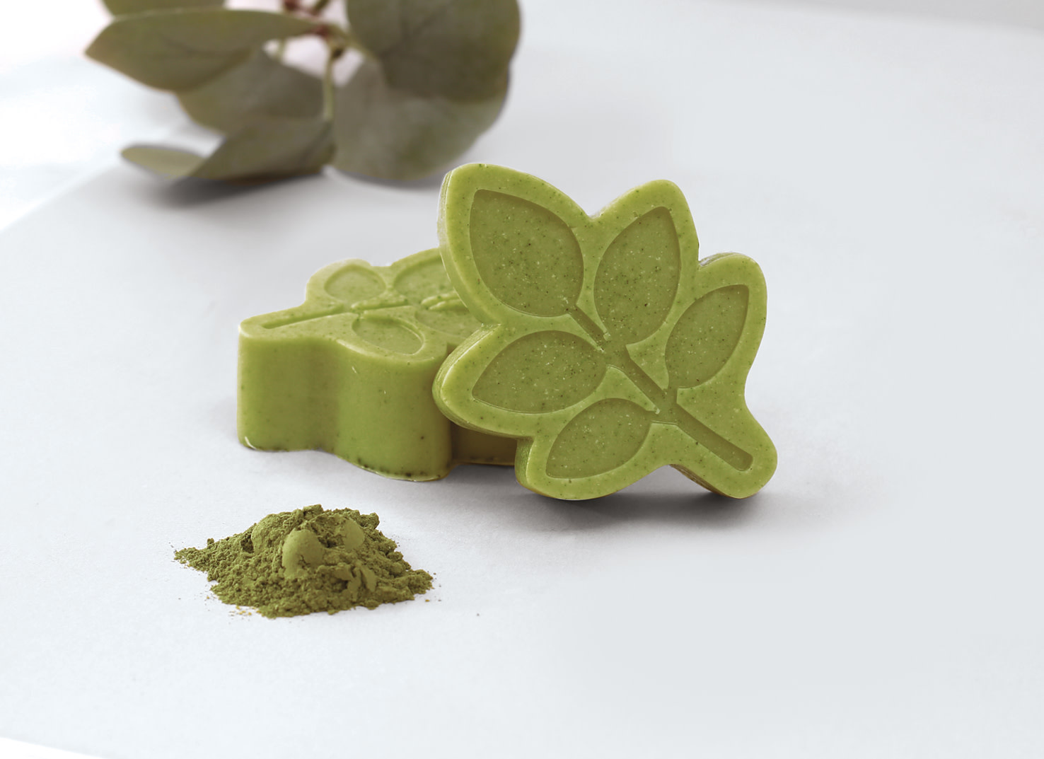 GRAINE CREATIVE Kit Savon Moringa