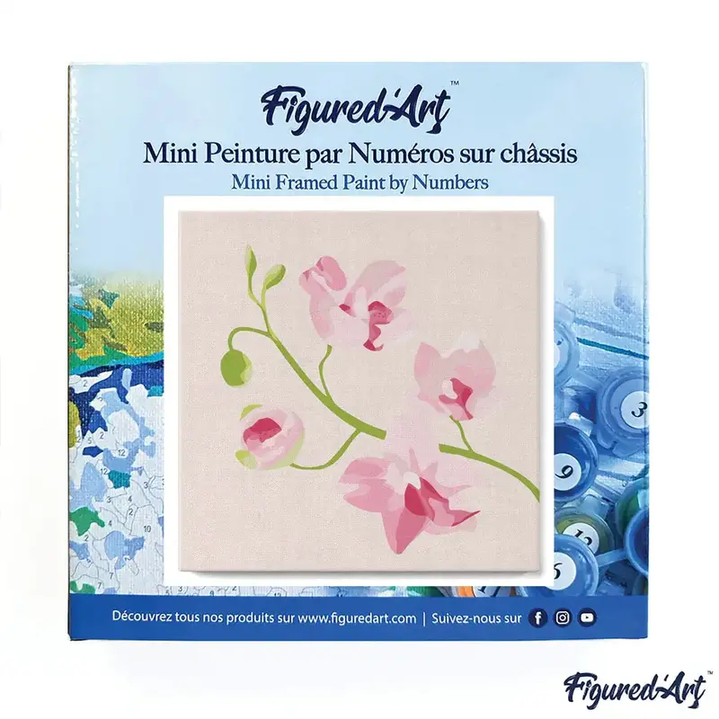 FIGURED'ART Mini Peinture par Numéros Branche d'Orchidée 20x20cm toile tendue sur chassis