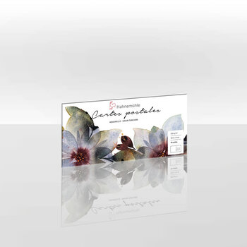 HAHNEMÜHLE Cartes postales Aquarelle, grain torchon  250g/m², 10,5x21cm, 10f.