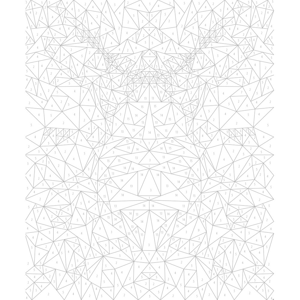 JANOD Peinture Au Numéro Insectes