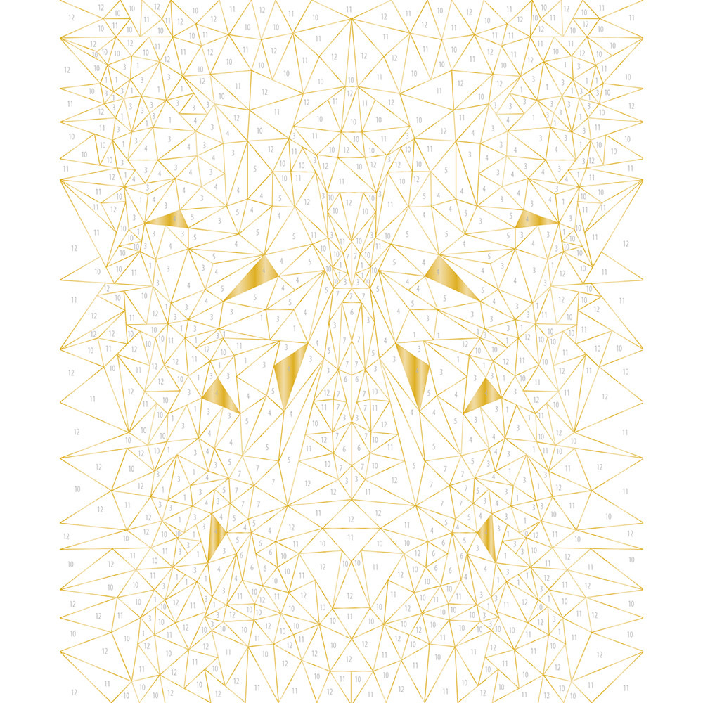 JANOD Peinture Au Numéro Insectes