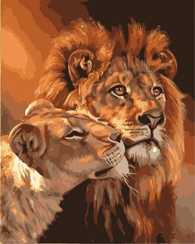 FIGURED'ART Peinture par numéros PN017-Y design Couple Lion et Lionne taille 40x50cm toile tendue sur châssis