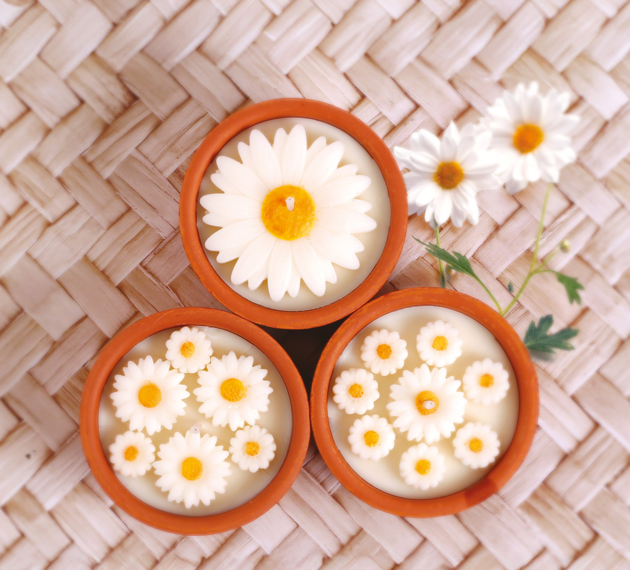 GRAINE CREATIVE Kit Bougies A La Folie