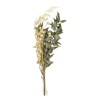 RAYHER Bouquet de fleurs séchées, vert pin, 18-20cm, sct.-LS 1pce.