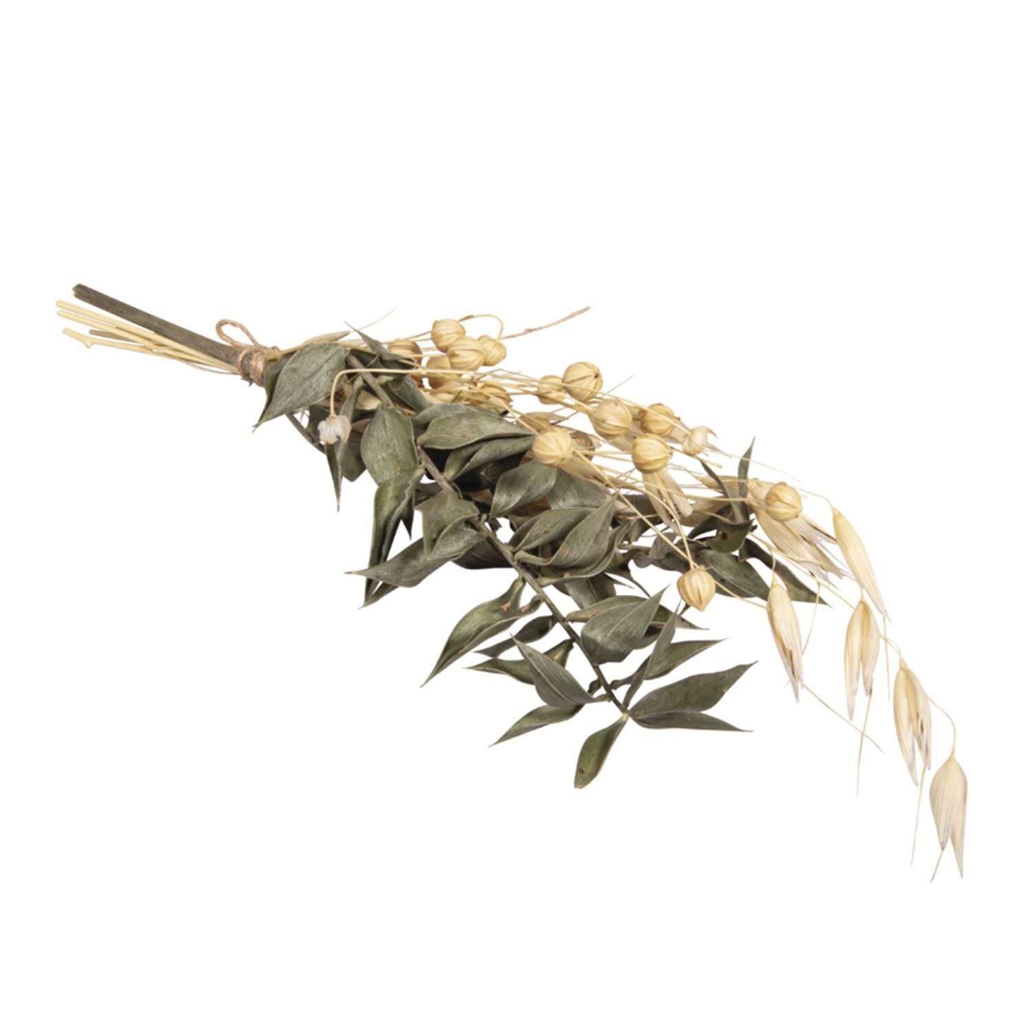 RAYHER Bouquet de fleurs séchées, vert pin, 18-20cm, sct.-LS 1pce.