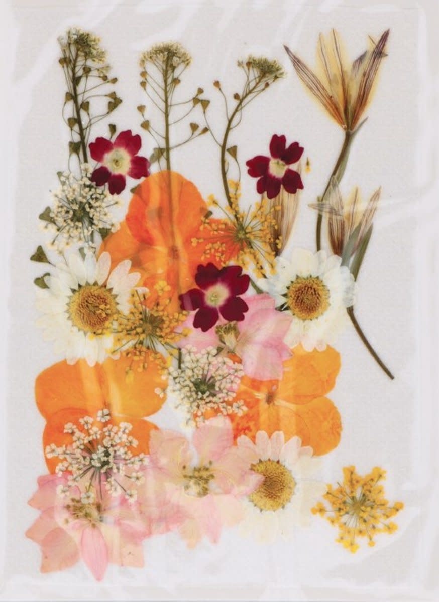 ARTEMIO Fleurs Oranges Séchées Pressées 24Pcs Roses