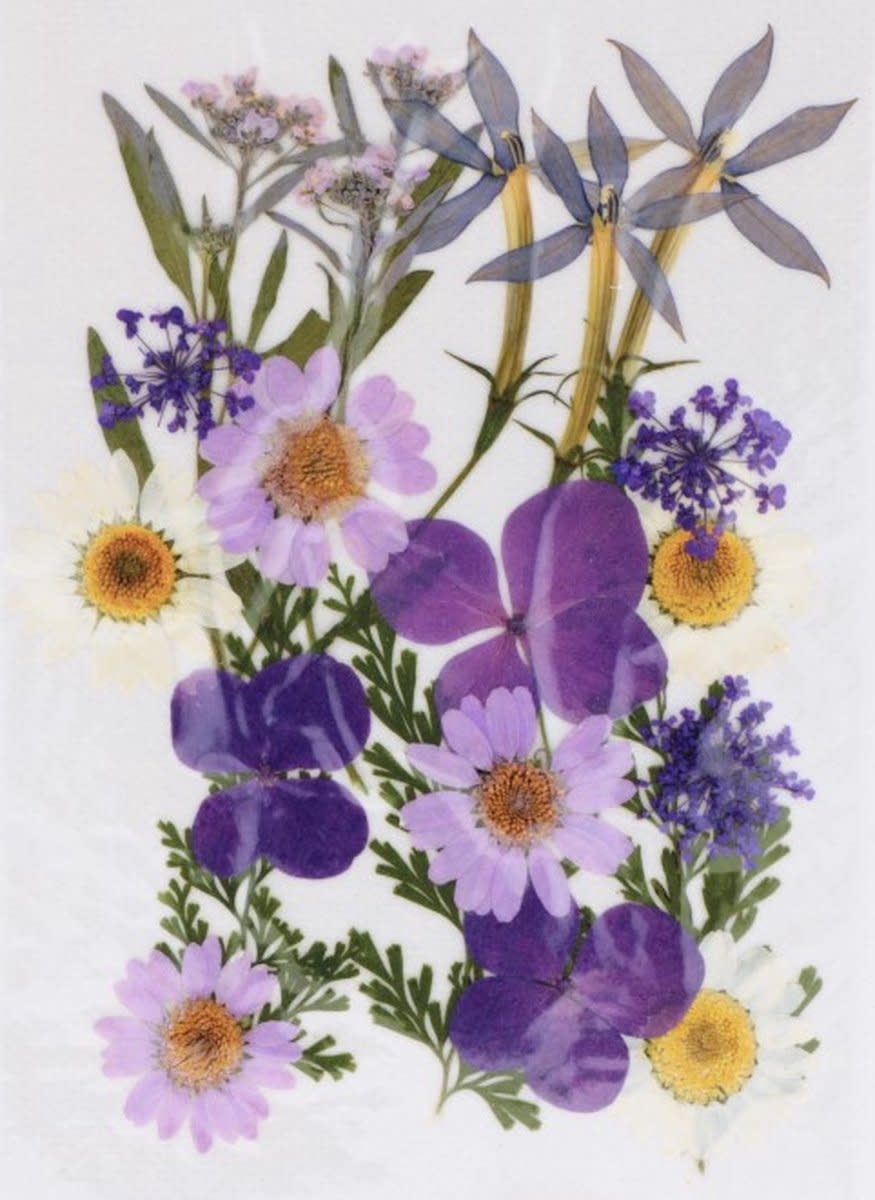 ARTEMIO Fleurs Mauves Séchées Pressées 21Pcs