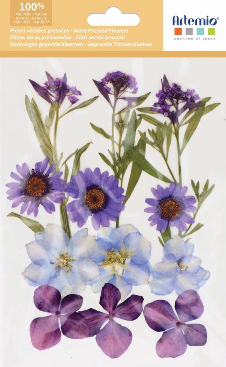 ARTEMIO Fleurs Mauves Séchées Pressées 12Pcs