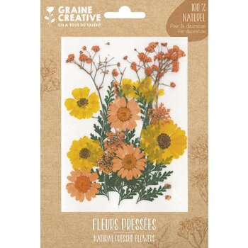 GRAINE CREATIVE Fleurs Pressées  Prairie Jaune - 18 Pcs