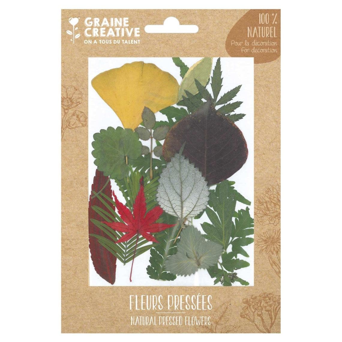 GRAINE CREATIVE Fleurs Pressées Forest 1 -15 Pcs