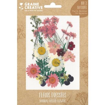 GRAINE CREATIVE Fleurs Pressées Prairie Rose -16 Pcs