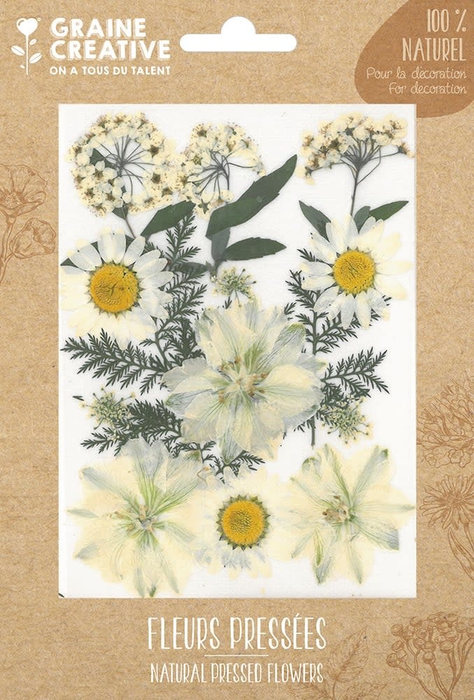 GRAINE CREATIVE Fleurs Pressées Prairie Blanc -15 Pcs