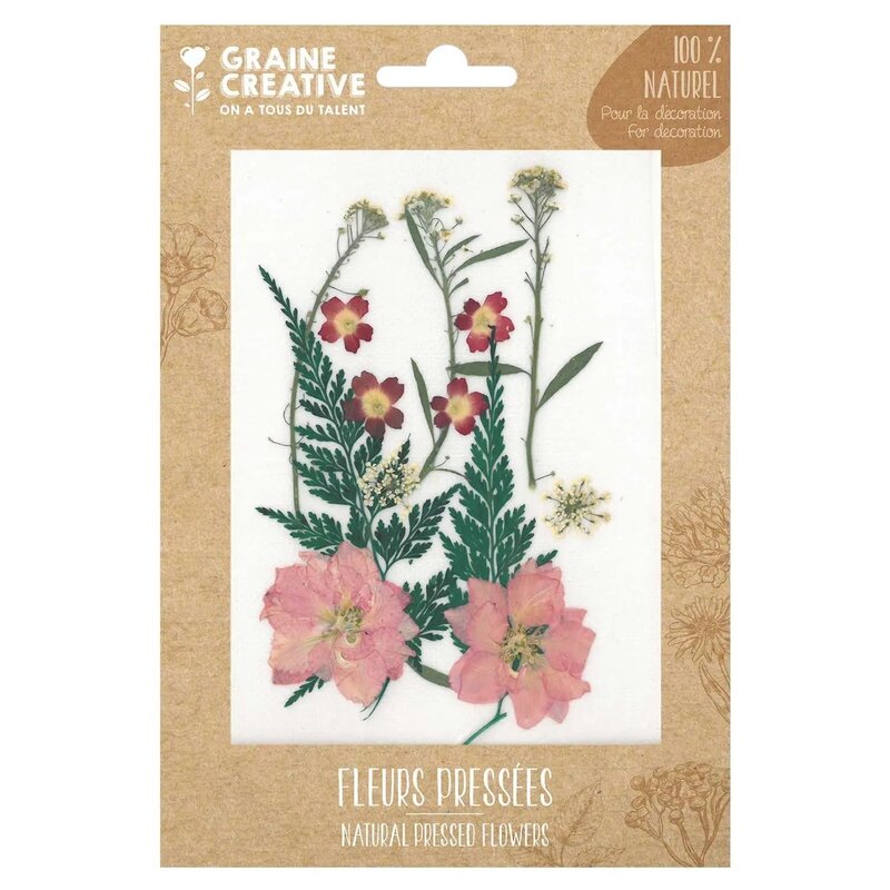 GRAINE CREATIVE Fleurs Pressées Prairie Rouge - 13 Pcs
