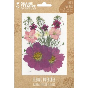 GRAINE CREATIVE Fleurs Pressées Prairie Parme - 14 Pcs