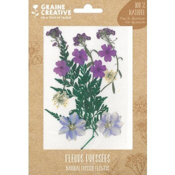 GRAINE CREATIVE Fleurs Pressées Prairie Violet - 13 Pcs