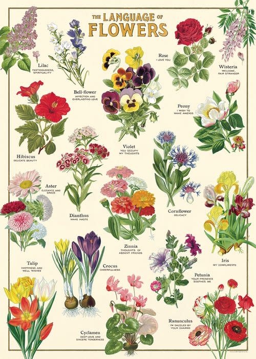 CAVALLINI & Co. Affiche Langage des Fleurs 50x70cm