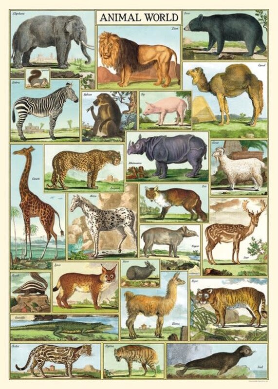 CAVALLINI & Co. Affiche Animaux 50x70cm