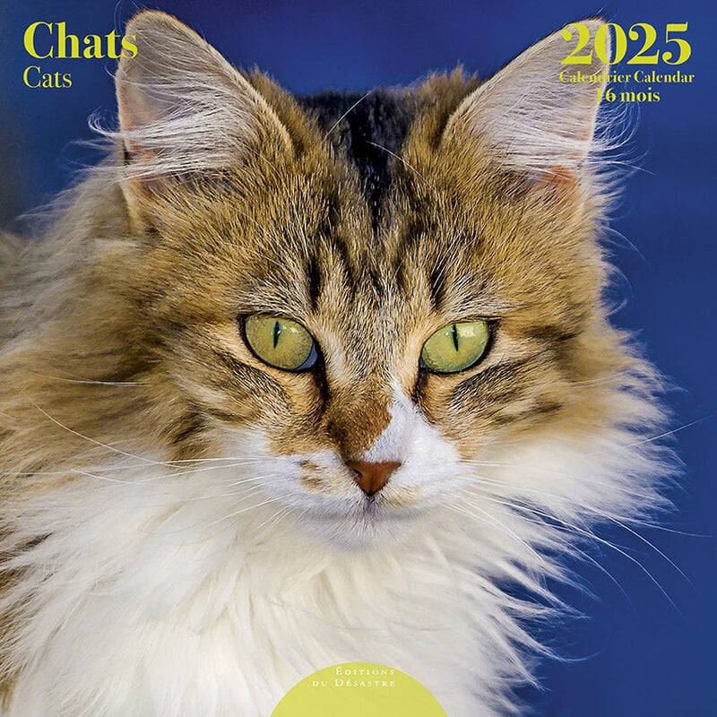 EDITIONS DU DESASTRE Calendrier 30X30 Chats 2025