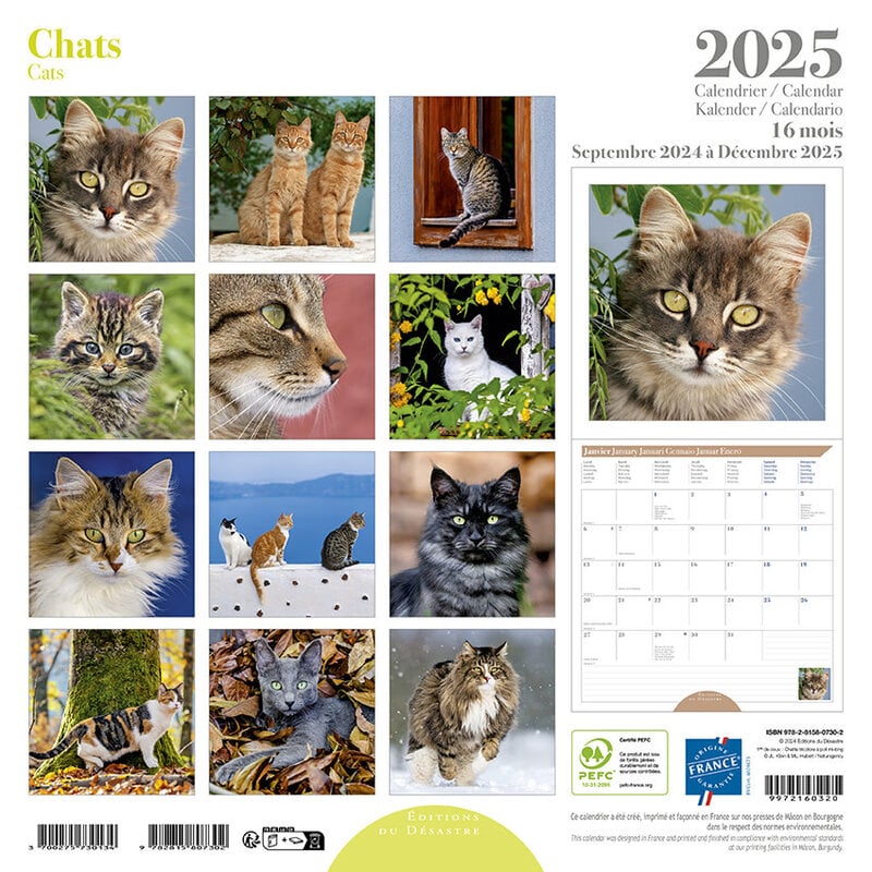 EDITIONS DU DESASTRE Calendrier 30X30 Chats 2025