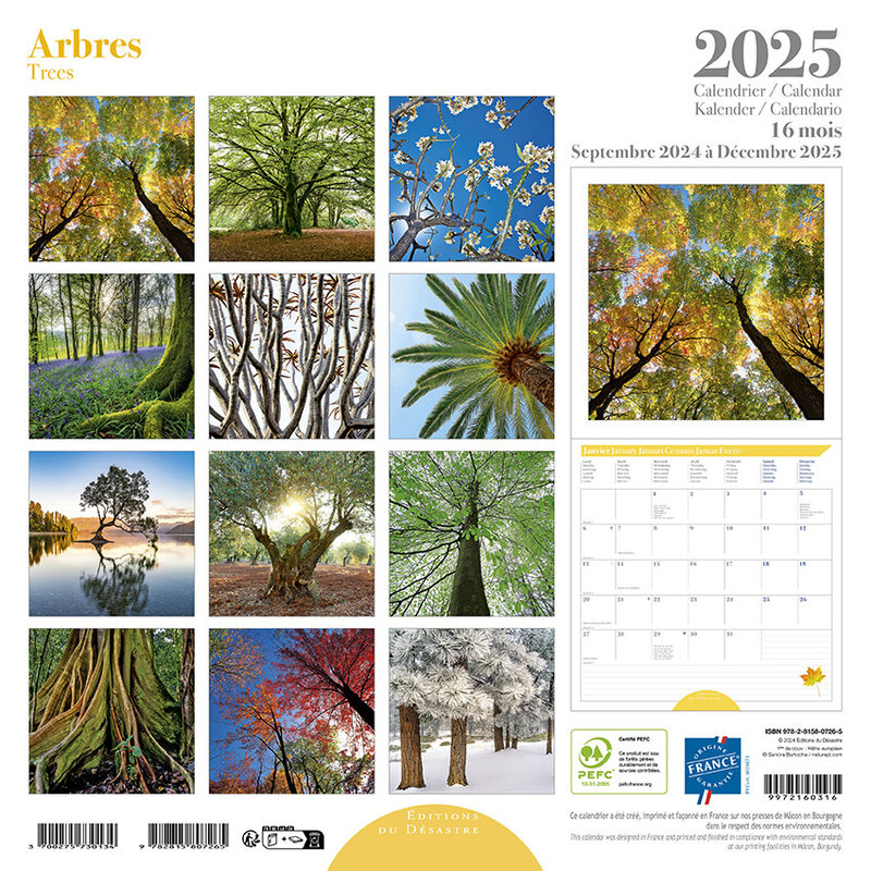 EDITIONS DU DESASTRE Calendrier 30X30  Arbres 2025