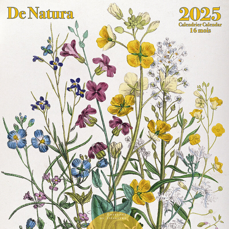 EDITIONS DU DESASTRE Calendrier 30X30 De Natura Sept 2024 Déc 2025