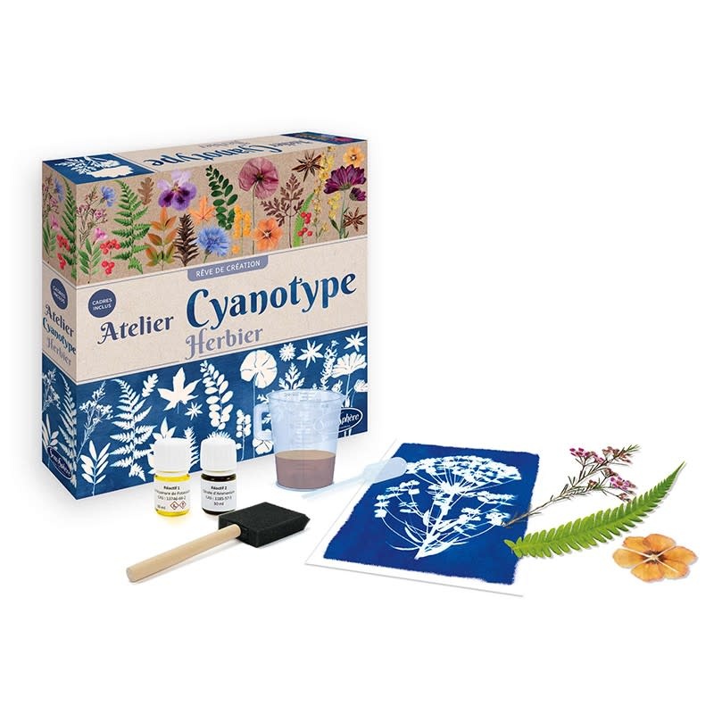 SENTOSPHERE Atelier Cyanotype Herbier