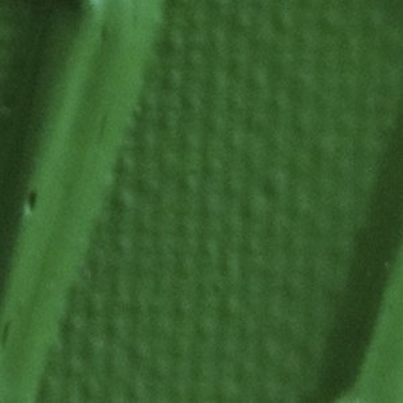 PEBEO Origin Acrylics 60 Ml Vert Permanent Clair