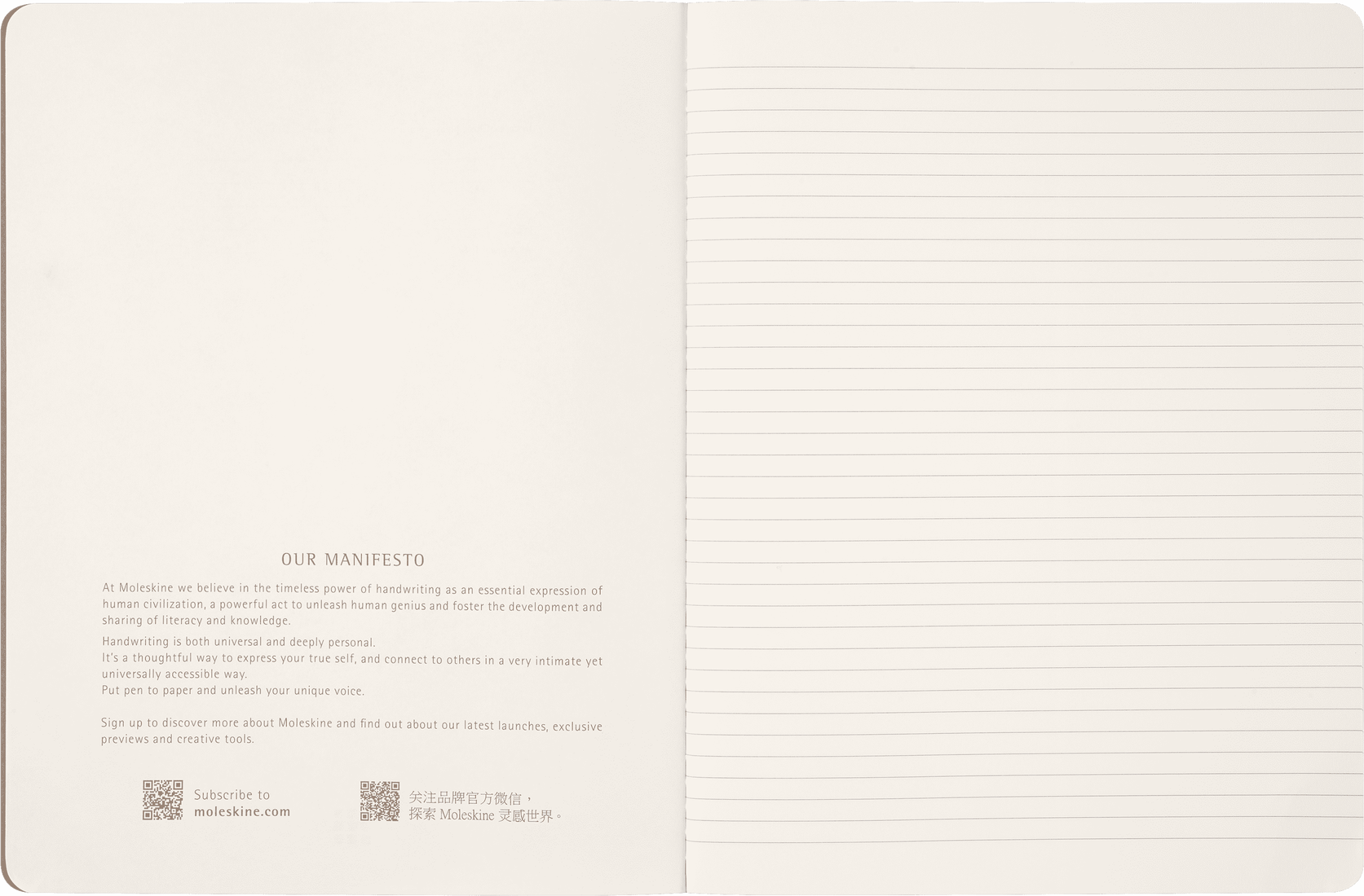 MOLESKINE Cahier Wingardium Leviosa - Très Grand Format - Pages Lignées