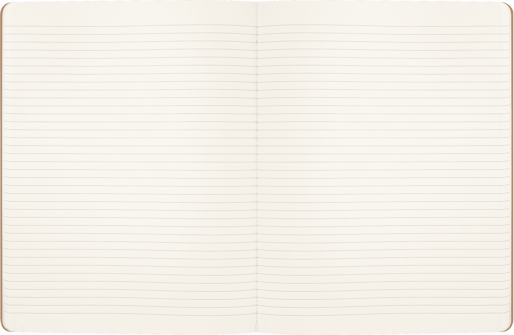 MOLESKINE Cahier Wingardium Leviosa - Très Grand Format - Pages Lignées