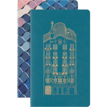 MOLESKINE Set 2 cahiers Moleskine grand format avec pages blanches et pages lignées