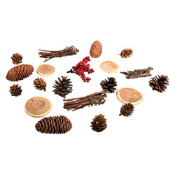 RAYHER Mélange Naturelle Avec Cône, Assorti, 2-6Cm, Sct.-Ls 20Pces